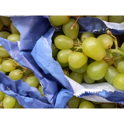 Druiven Witte Pitloos LOS, Prijs per 500 GRAM